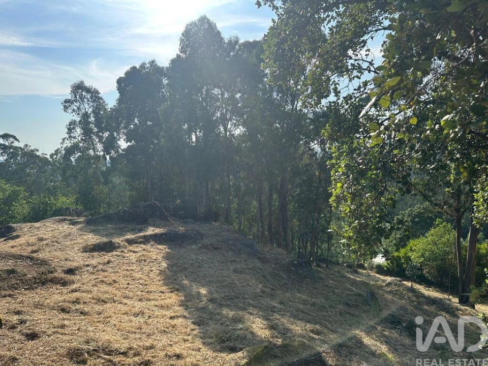Terreno para Venda em Vila de Punhe Foto 10