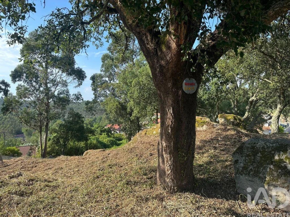 Terreno para Venda em Vila de Punhe Foto 4