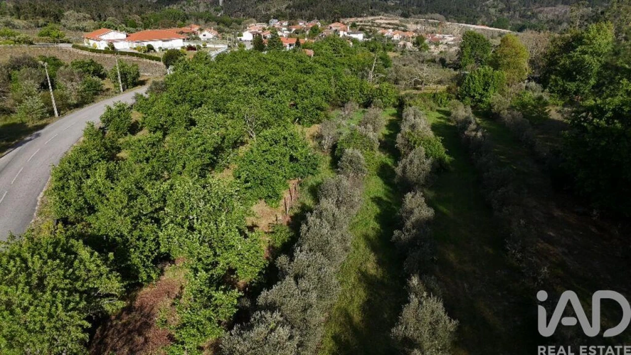 Quinta T5 para Venda em Sezures Foto 5