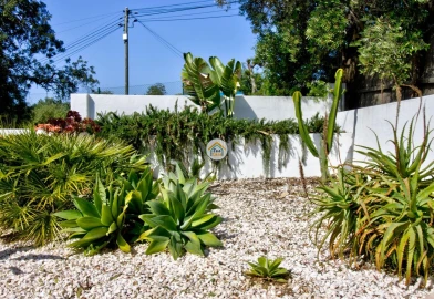 Quinta T3 para Venda em Moncarapacho e Fuseta