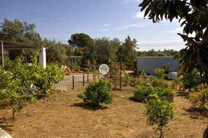Quinta T3 para Venda em Moncarapacho e Fuseta