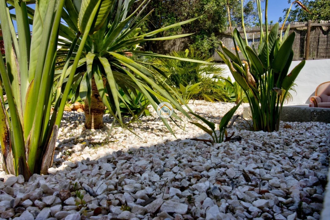 Quinta T3 para Venda em Moncarapacho e Fuseta Foto 32