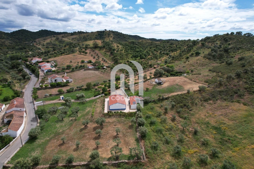 Quinta T3 para Venda em Vale de Santiago Foto 39