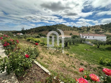 Quinta T3 para Venda em Vale de Santiago