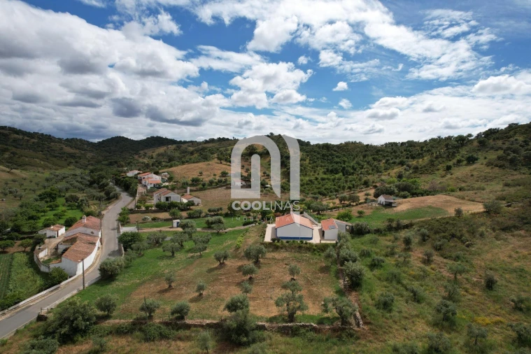 Quinta T3 para Venda em Vale de Santiago Foto 47