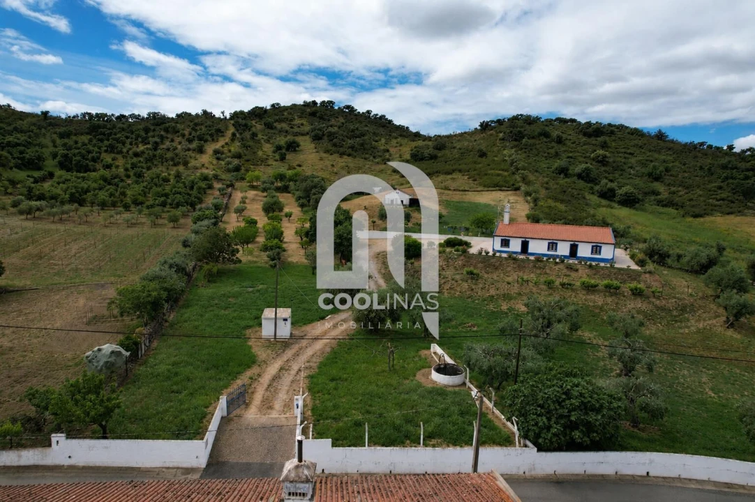 Quinta T3 para Venda em Vale de Santiago Foto 38