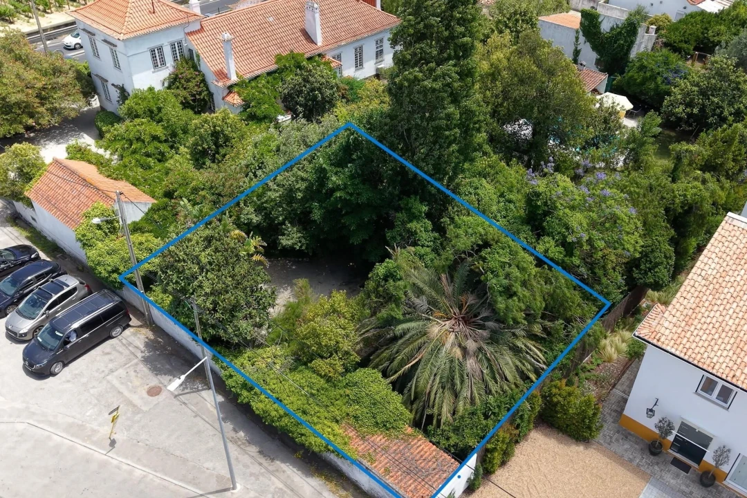 Terreno para Venda em Azeitão (São Lourenço e São Simão) Foto 4