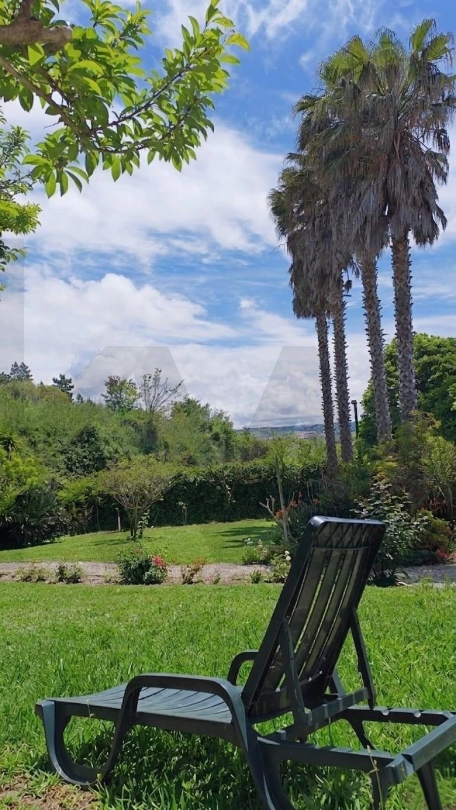 Moradia T3 para Venda em Lourinhã e Atalaia Foto 6