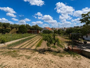 Terreno para Venda em Santa Maria do Castelo e Santiago e Santa Susana