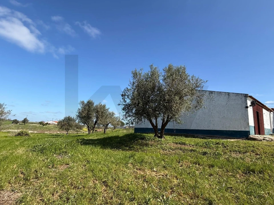 Quinta T3 para Venda em Ferreira do Alentejo e Canhestros Foto 5