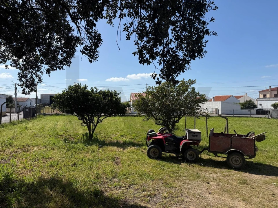 Quinta T3 para Venda em Ferreira do Alentejo e Canhestros Foto 15