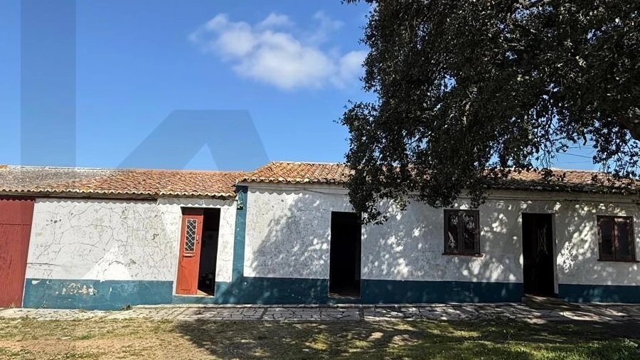 Quinta T3 para Venda em Ferreira do Alentejo e Canhestros
