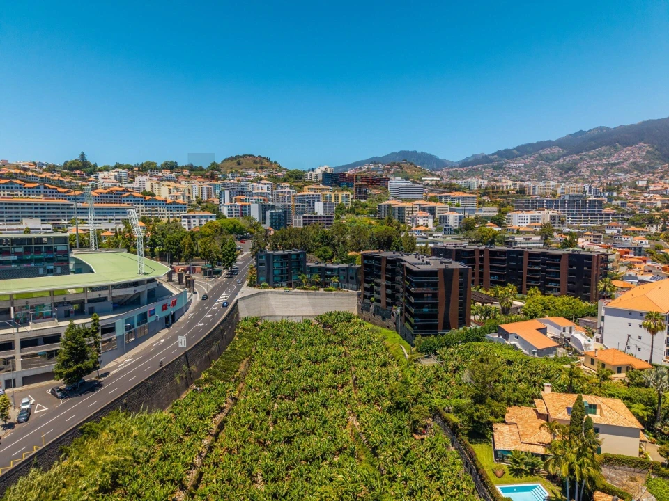 Loja para Venda em São Martinho Foto 9
