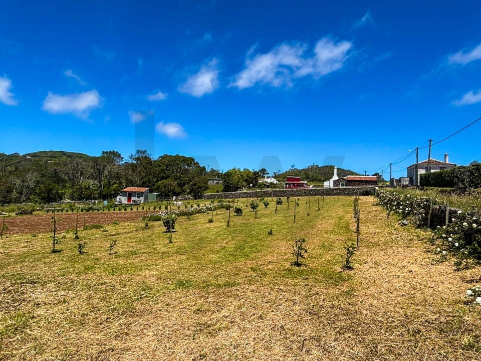 Terreno para Venda em Santo Espirito Foto 3