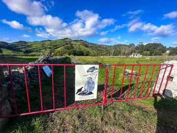 Terreno para Venda em Santo Espirito