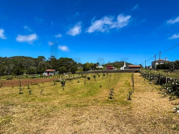 Terreno para Venda em Santo Espirito