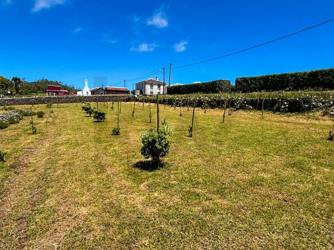 Terreno para Venda em Santo Espirito Foto 5
