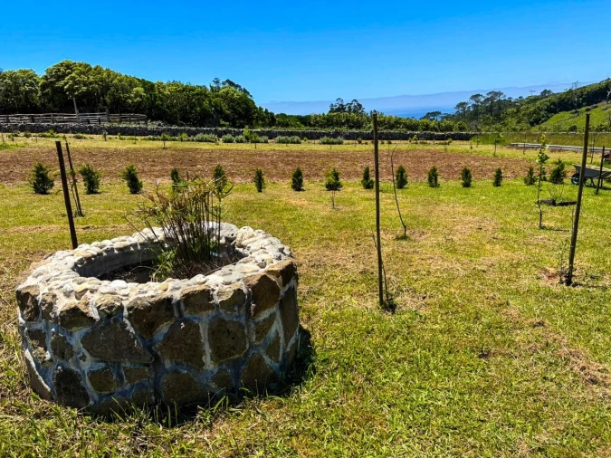 Terreno para Venda em Santo Espirito Foto 13
