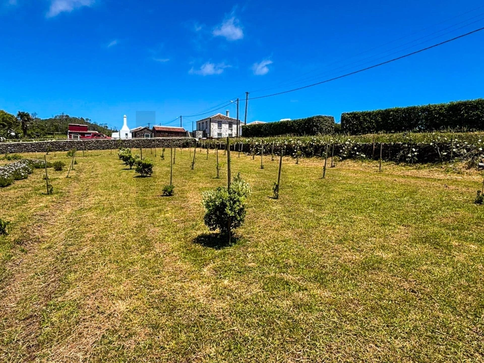 Terreno para Venda em Santo Espirito Foto 5