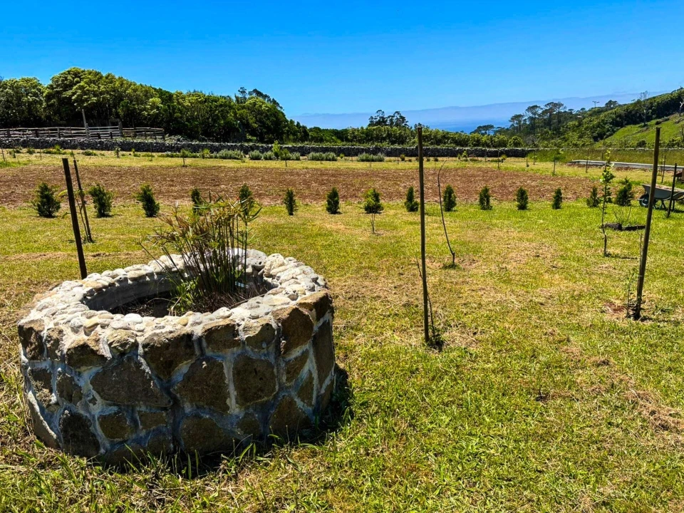 Terreno para Venda em Santo Espirito Foto 13