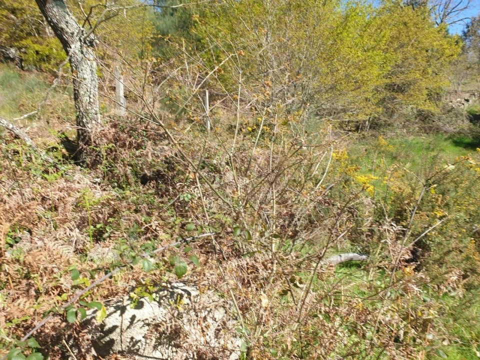 Terreno para Venda em Rio Douro Foto 7