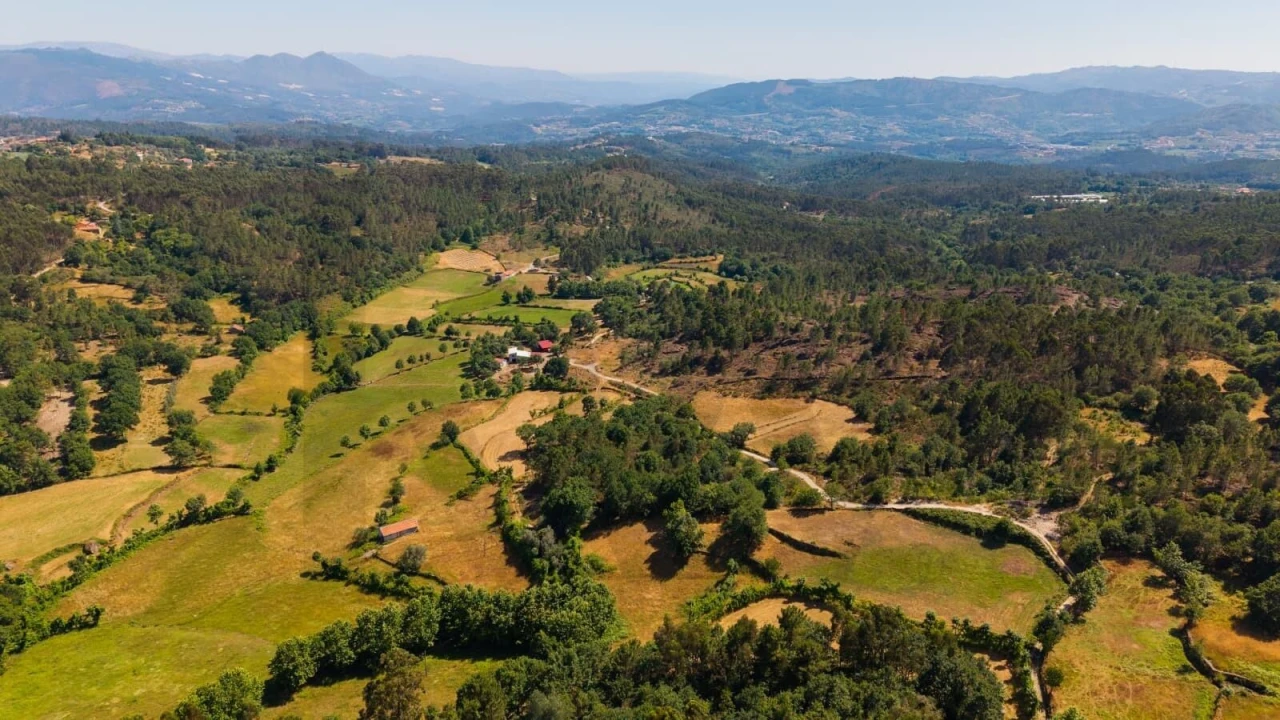 Terreno para Venda em Rio Douro Foto 11