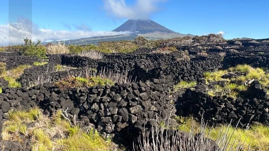 Terreno para Venda em Bandeiras