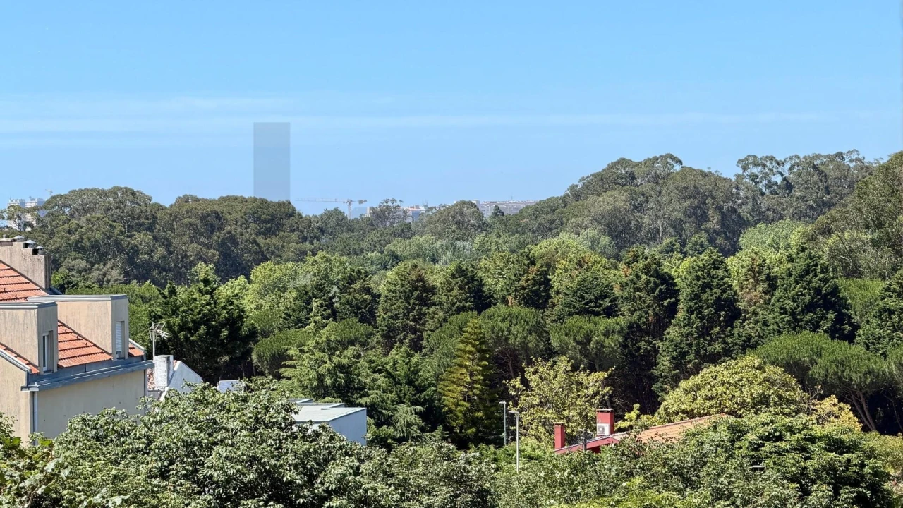 Apartamento T1 para Arrendamento em Aldoar, Foz do Douro e Nevogilde Foto 20