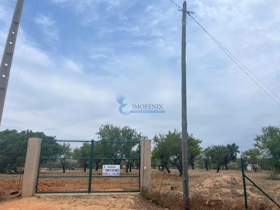 Terreno para Venda em Guia Foto 5