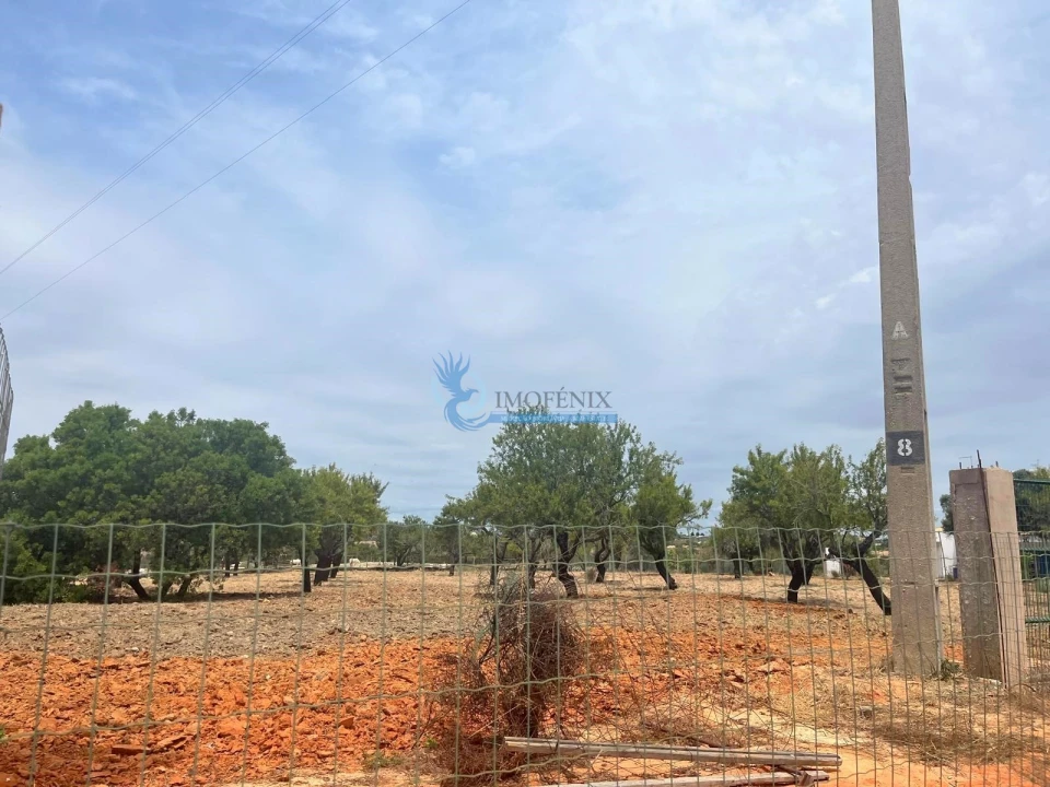 Terreno para Venda em Guia Foto 6
