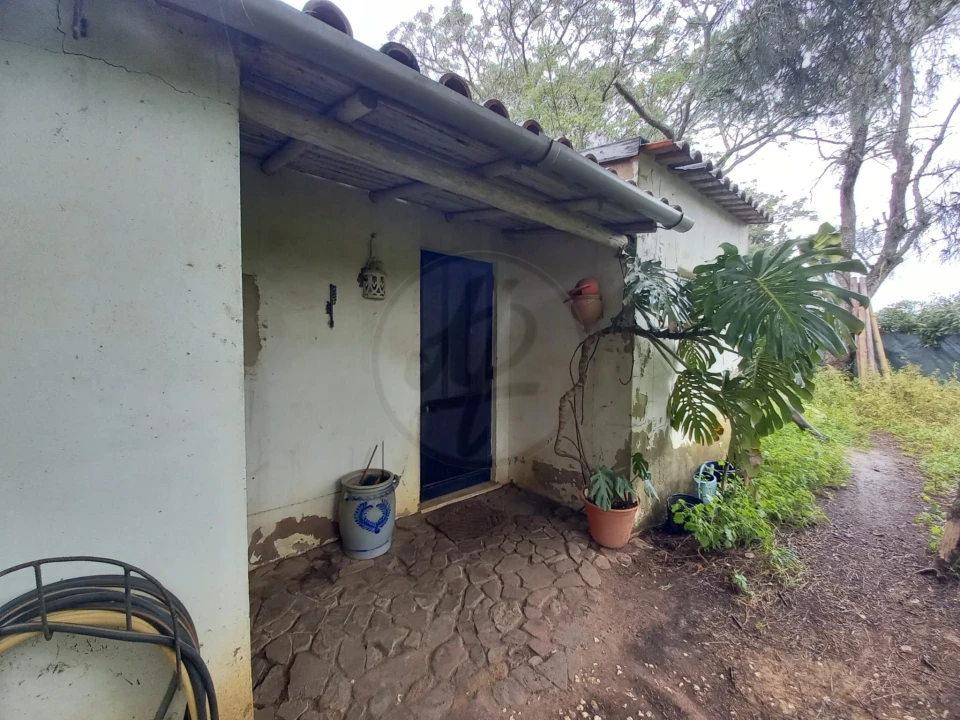 Moradia T2 para Venda em Mexilhoeira Grande Foto 17