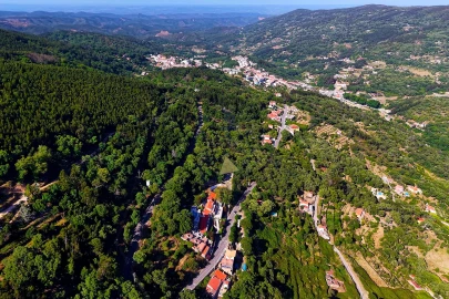 Prédio para Venda em Monchique
