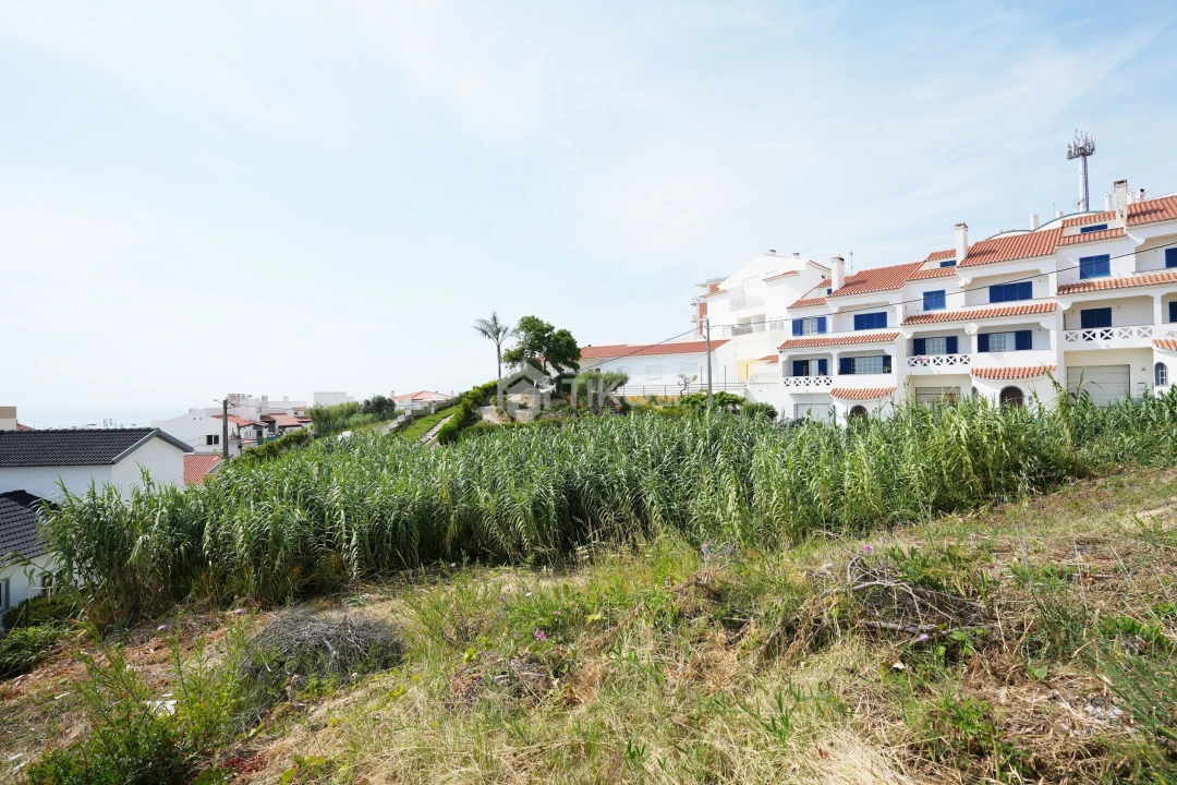 Terreno para Venda em Ericeira Foto 9