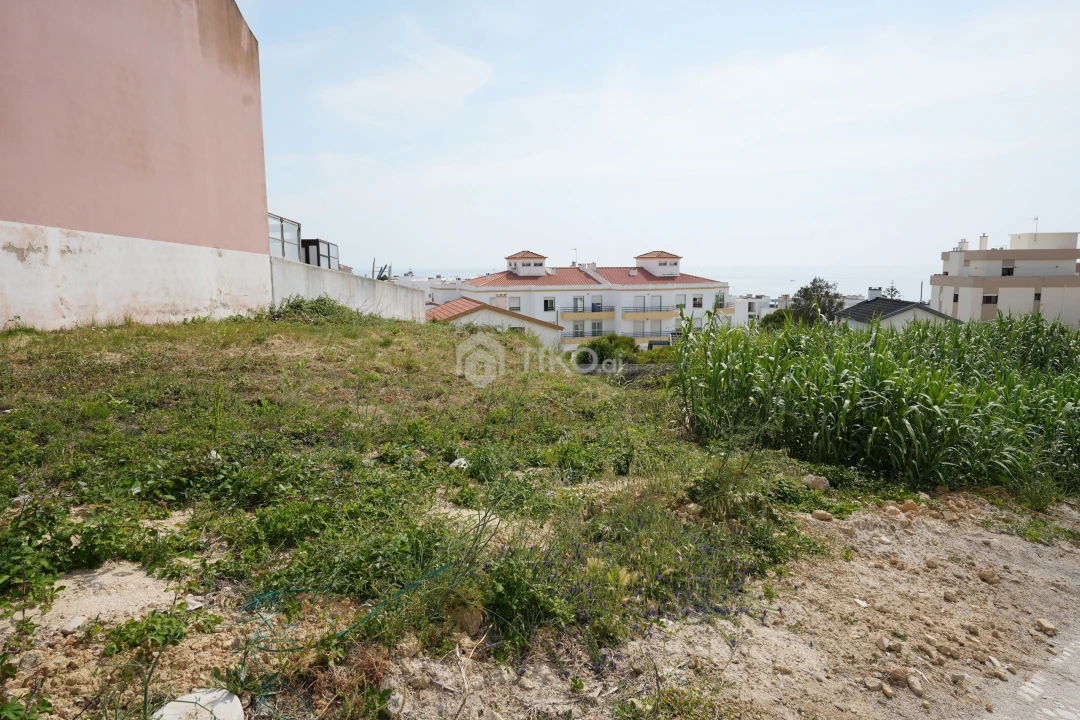Terreno para Venda em Ericeira Foto 3