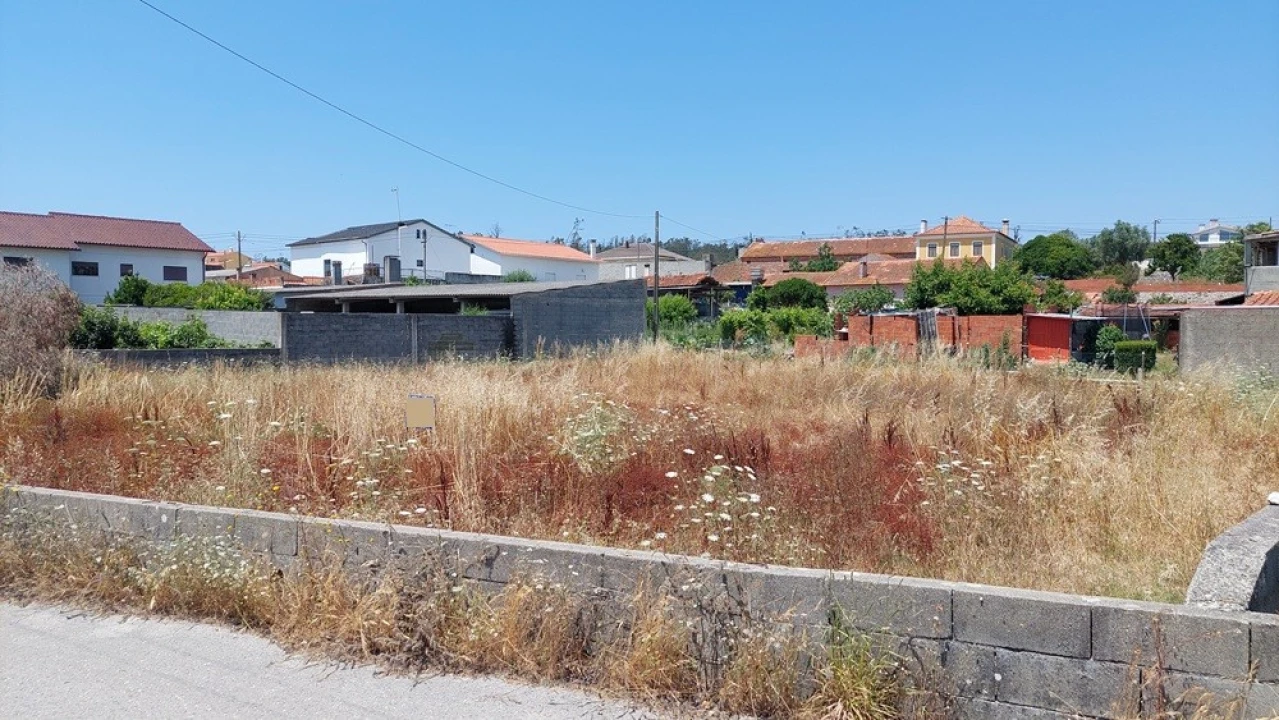 Terreno para Venda em Souto da Carpalhosa e Ortigosa Foto 2