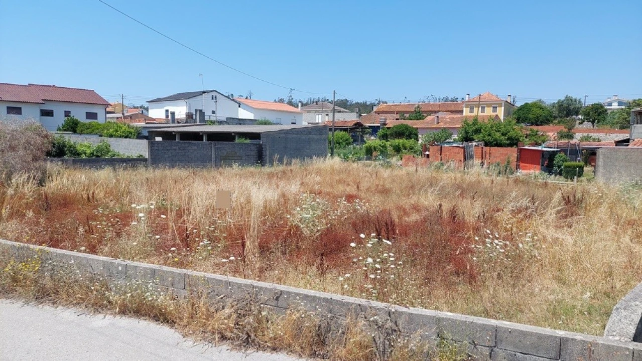 Terreno para Venda em Souto da Carpalhosa e Ortigosa Foto 5
