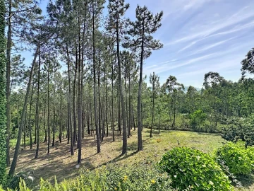 Moradia T3 para Venda em Vilar de Mouros