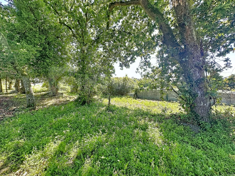Terreno para Venda em Moledo e Cristelo Foto 1