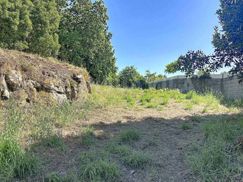Terreno para Venda em Moledo e Cristelo Foto 9