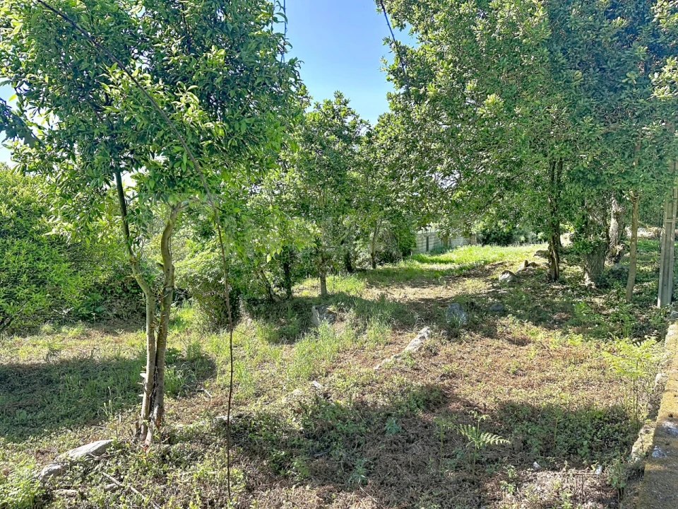 Terreno para Venda em Moledo e Cristelo Foto 5