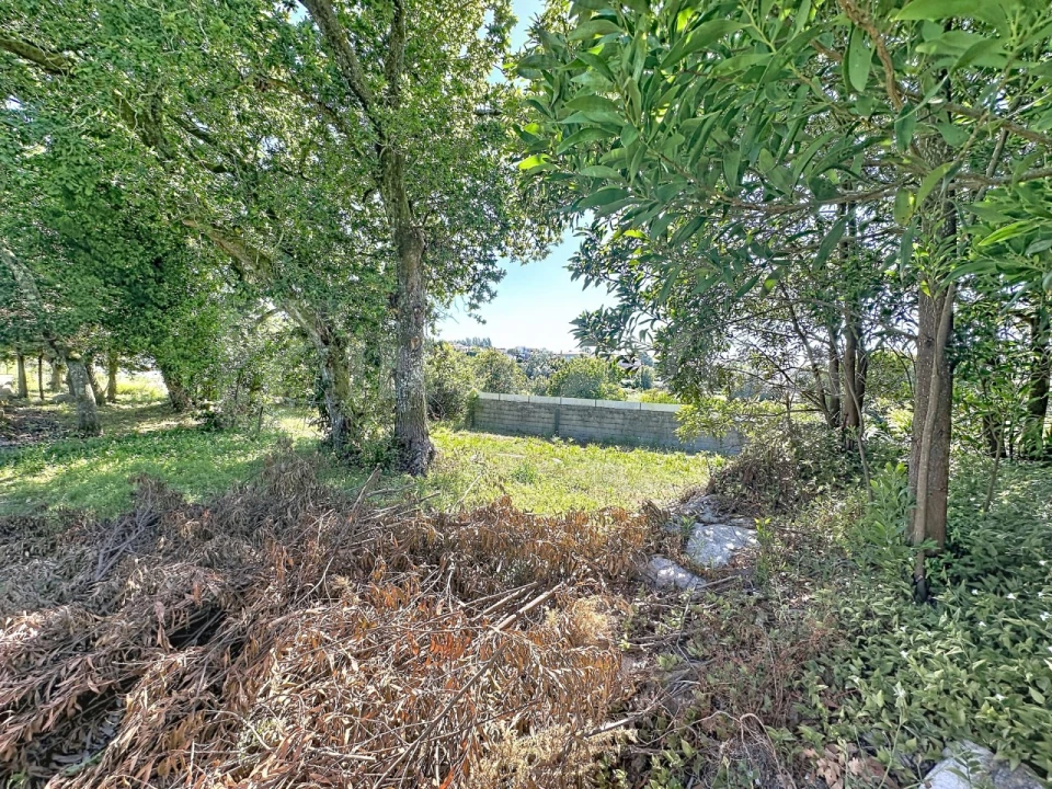 Terreno para Venda em Moledo e Cristelo Foto 6