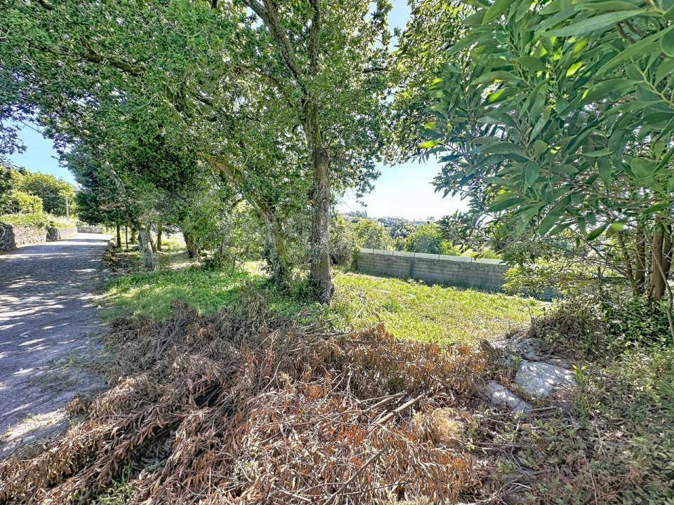 Terreno para Venda em Moledo e Cristelo Foto 7