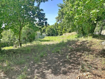 Terreno para Venda em Moledo e Cristelo
