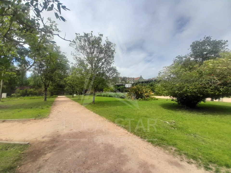 Terreno para Venda em Salir de Matos Foto 17