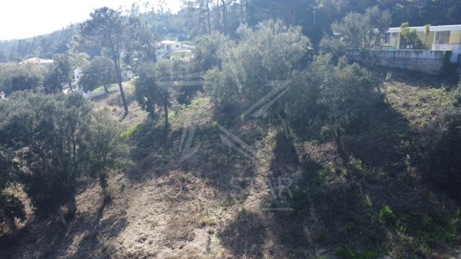 Terreno para Venda em Salir de Matos Foto 10