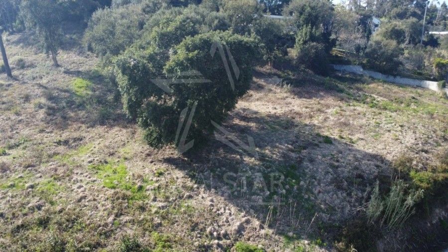 Terreno para Venda em Salir de Matos Foto 16