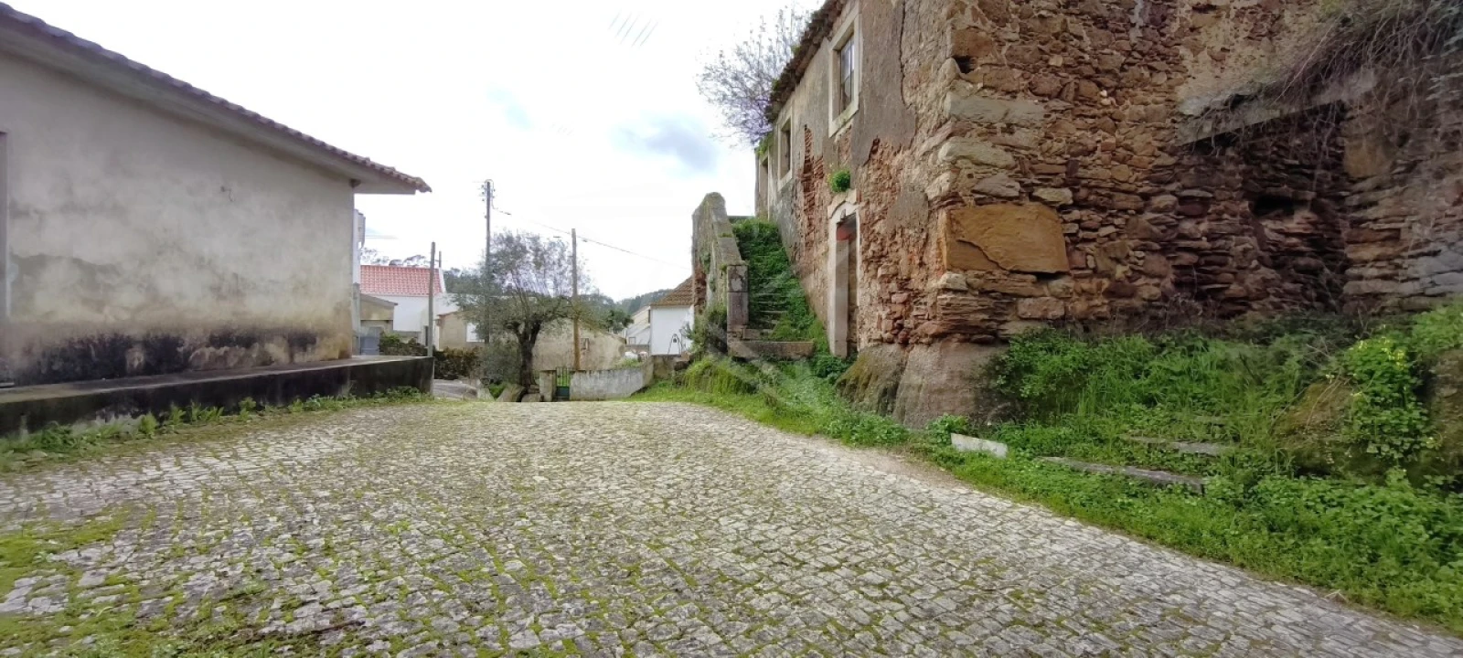Moradia T1 para Venda em Alvorninha Foto 7