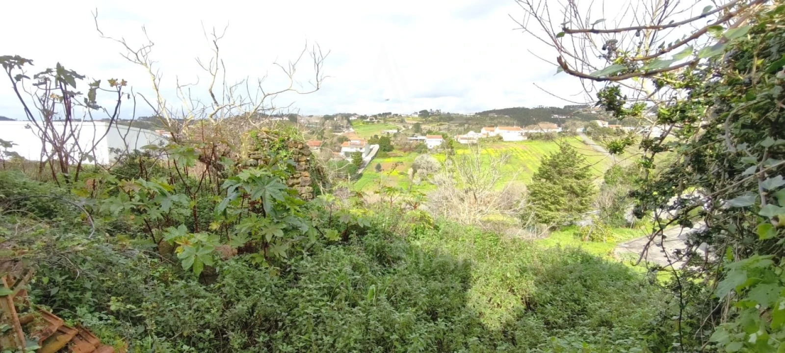 Moradia T1 para Venda em Alvorninha Foto 32