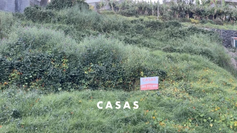 Terreno para Venda em Monte
