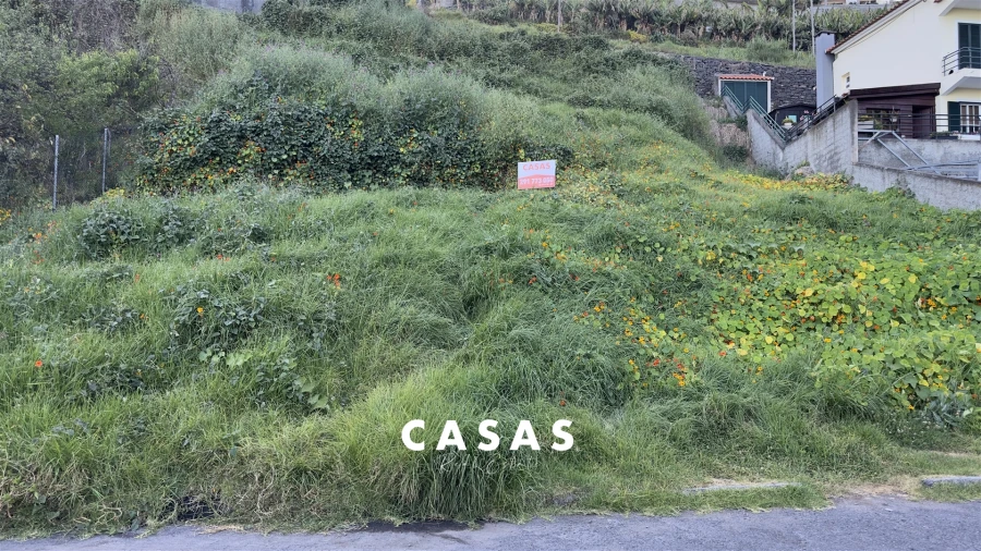 Terreno para Venda em Monte Foto 4